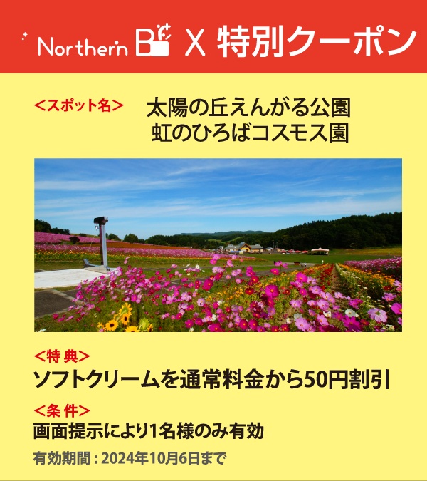 特別クーポン 太陽の丘えんがる公園 虹のひろばコスモス園