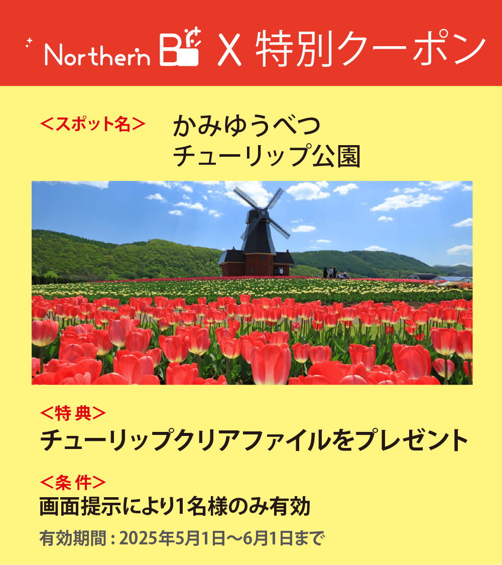 特別クーポン かみゆうべつチューリップ公園